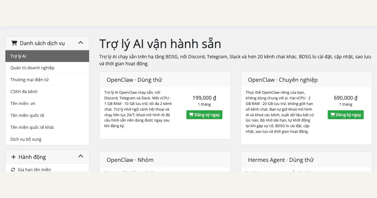 Khu vực danh mục Trợ lý AI trên website BDSG Hosting — ảnh chụp đã cắt ngày 19/10/2026.