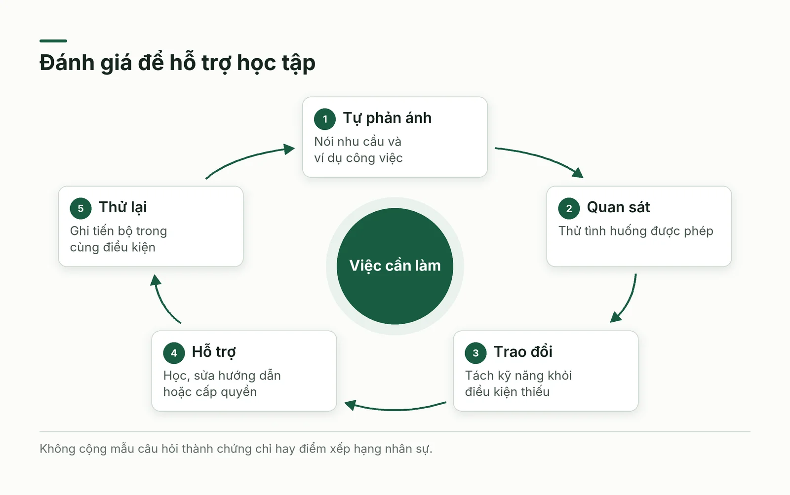 Vòng cải thiện chương trình học từ bằng chứng