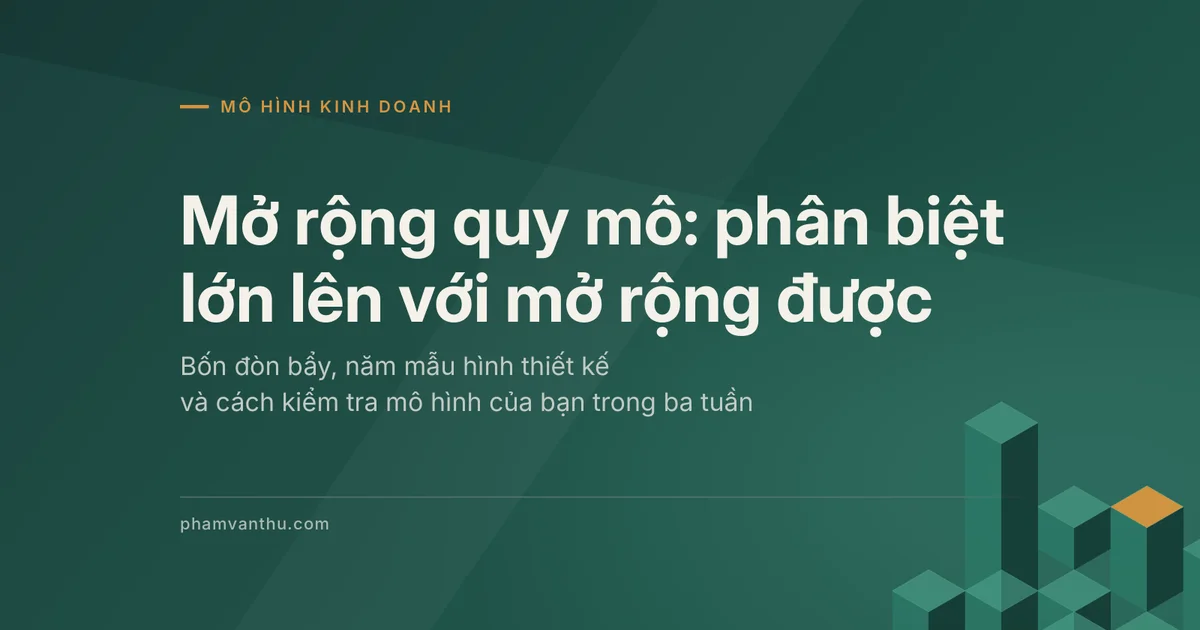 Ảnh đại diện bài về mô hình mở rộng quy mô