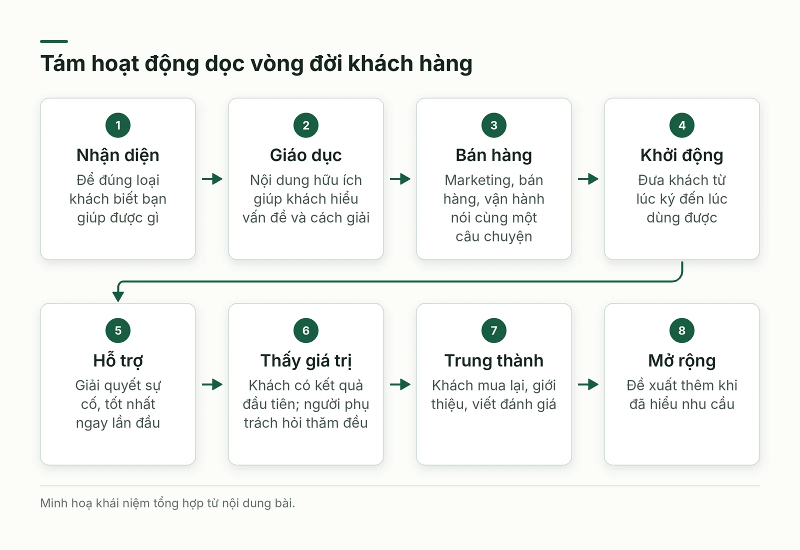 Tám hoạt động dọc vòng đời