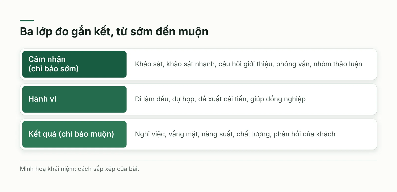 Ba lớp đo gắn kết