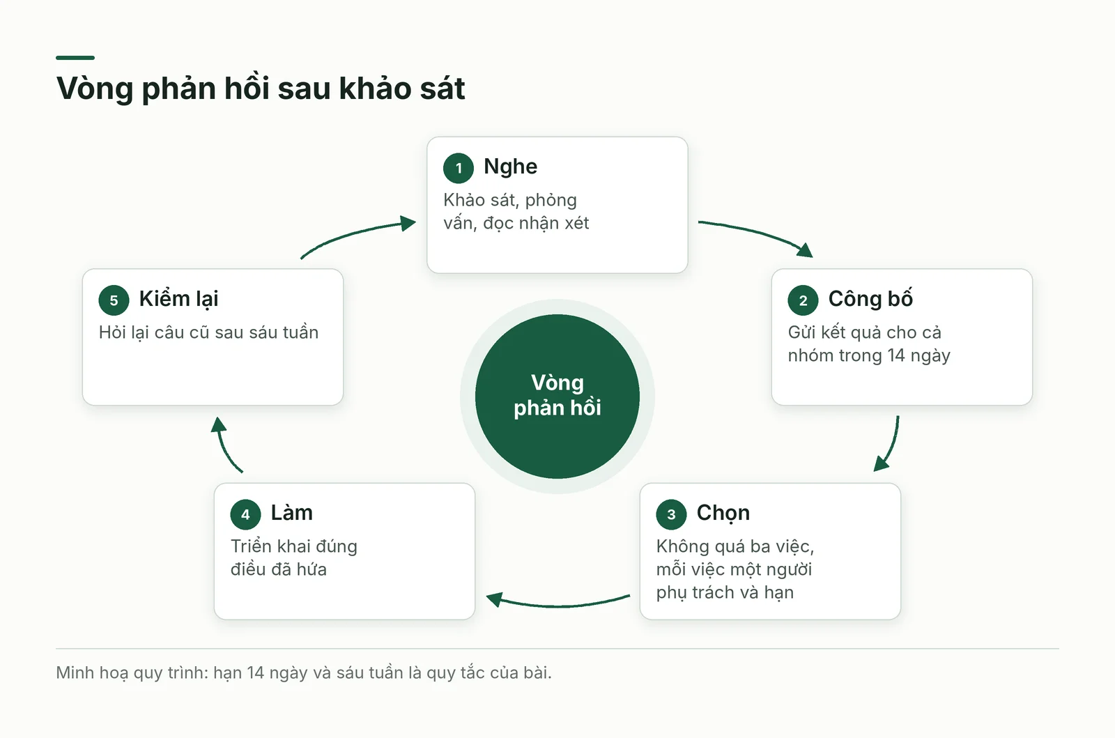 Vòng phản hồi năm động tác