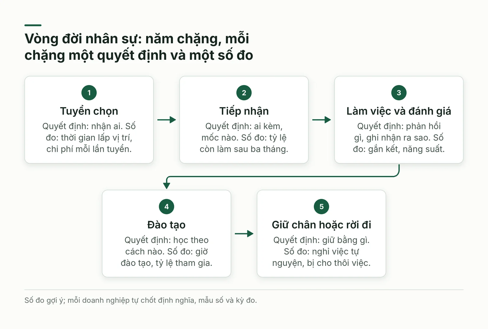 Năm chặng của vòng đời nhân sự