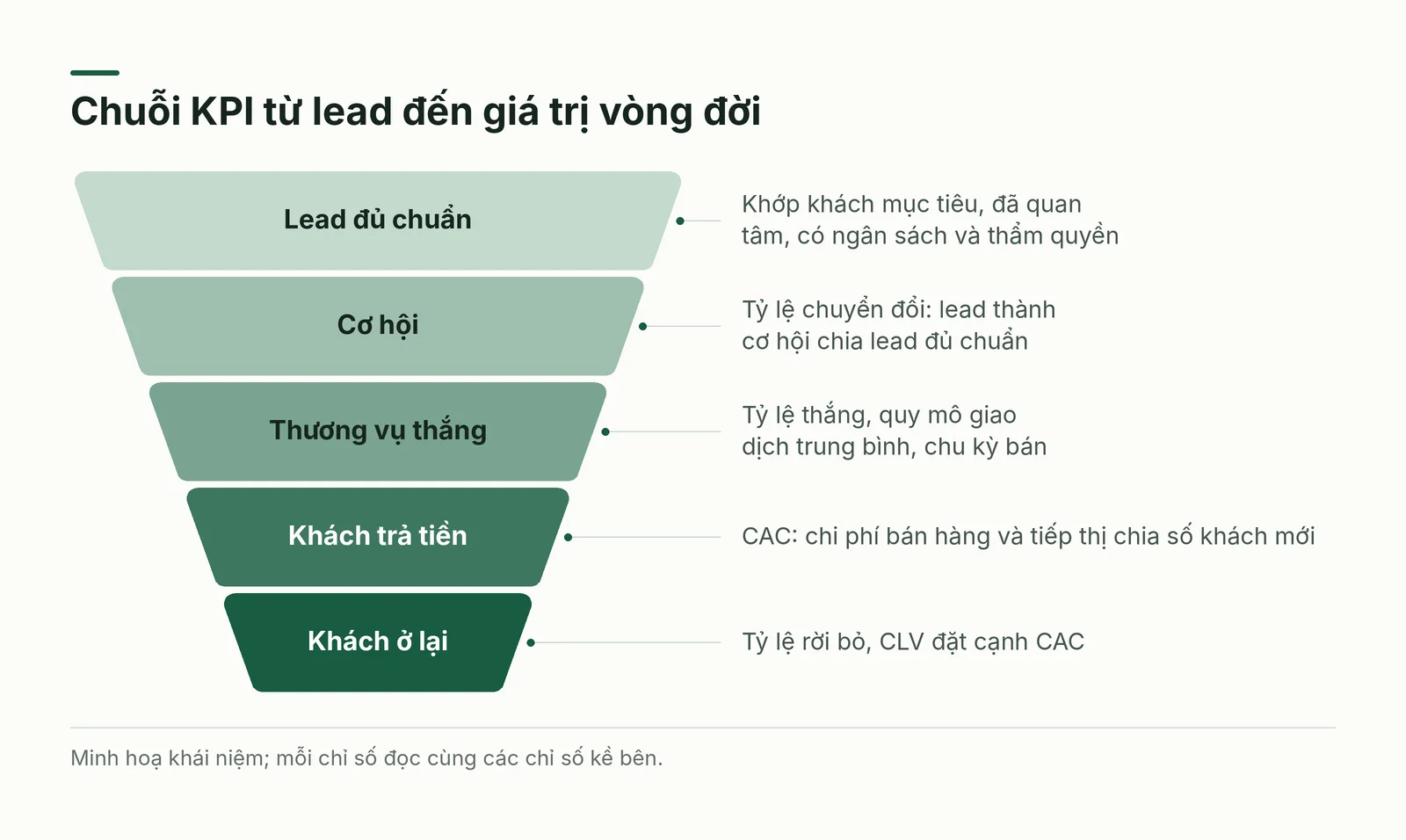 Chuỗi chỉ số từ lead đến giá trị vòng đời