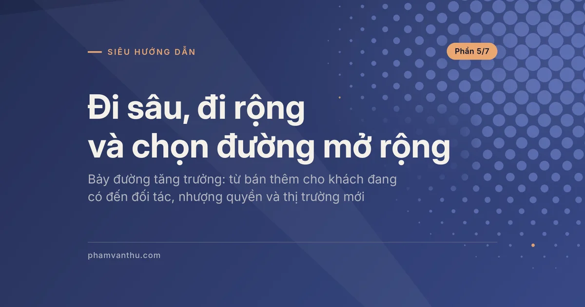 Ảnh đại diện bài về chọn đường mở rộng kinh doanh: thâm nhập sâu, thị trường mới, đối tác và nhượng quyền