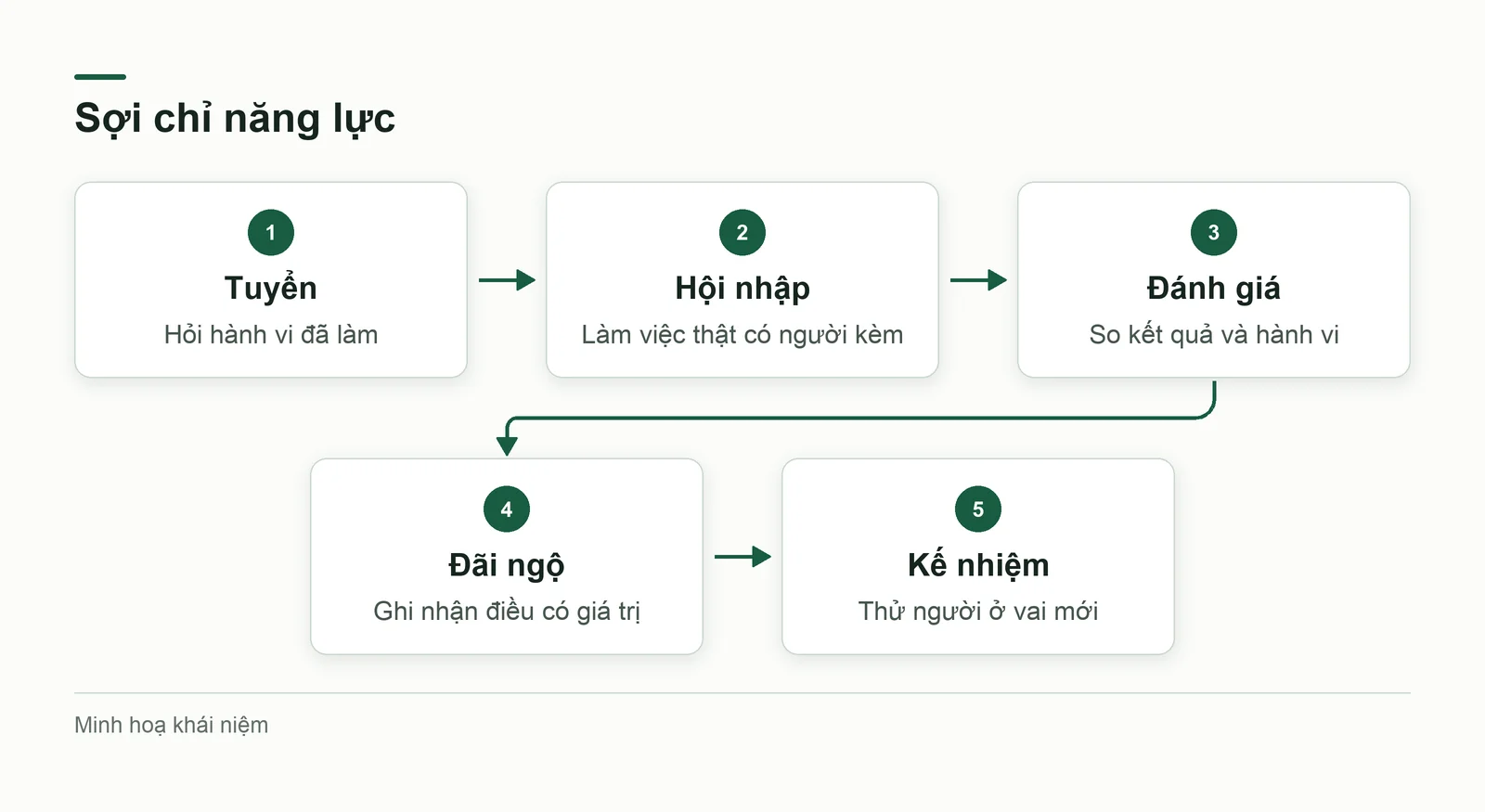 Một năng lực đi qua năm khâu về người, ví dụ nhận trách nhiệm đến khi chạy thật