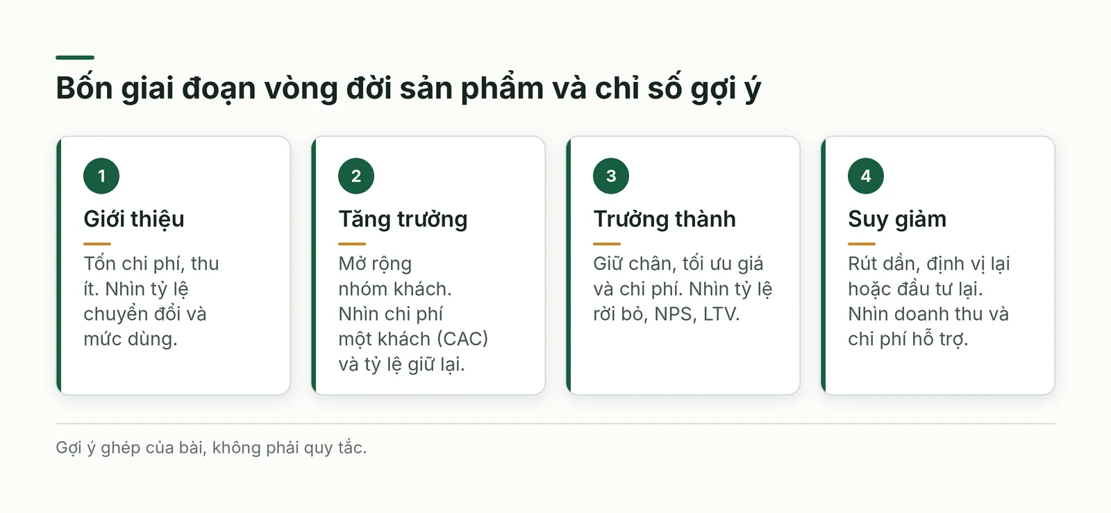 Bốn giai đoạn vòng đời và chỉ số cần nhìn