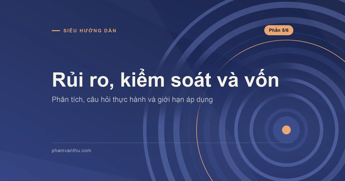 Ảnh đại diện: Rủi ro, kiểm soát và vốn